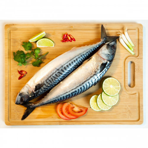 Norway Mackerel